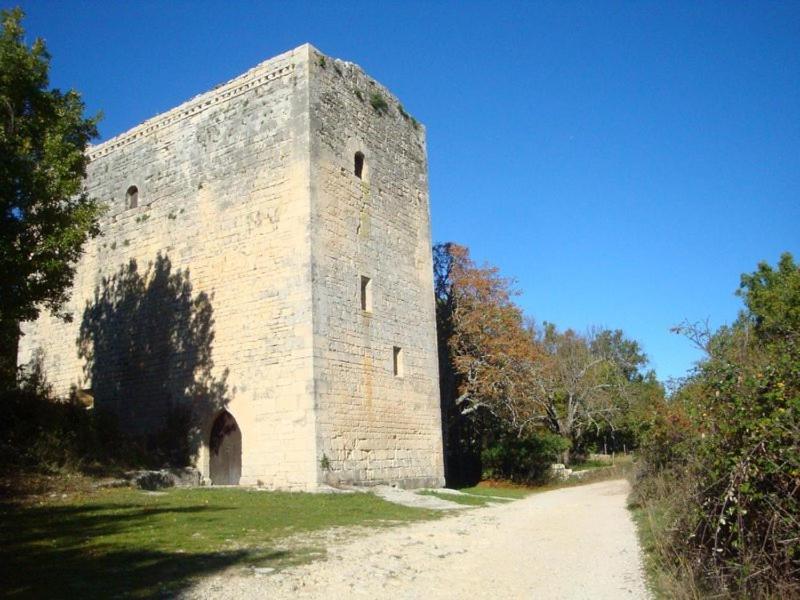 Gite Hanna En Luberon - Le Boisset De St Martin De Castillon Saint-Martin-de-Castillon Exteriör bild