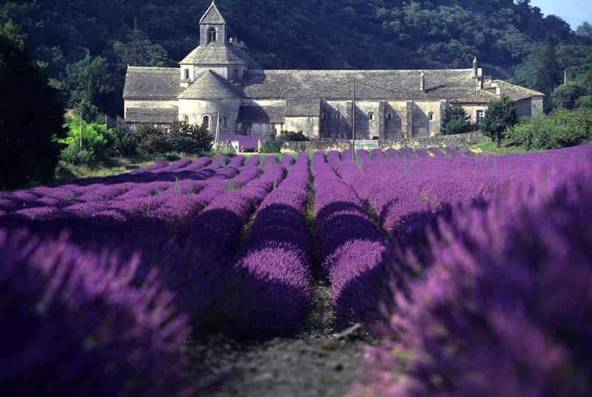 Gite Hanna En Luberon - Le Boisset De St Martin De Castillon Saint-Martin-de-Castillon Exteriör bild